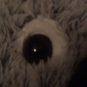 Meet your Posher, Faithanne